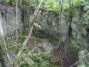 Dolinen im Hainholz