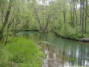 Quelltopf der Rhumequelle