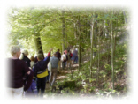 Natur erleben im S�dharz