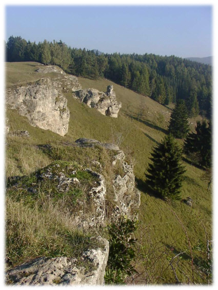 Dolomitlandschaft Steinberg